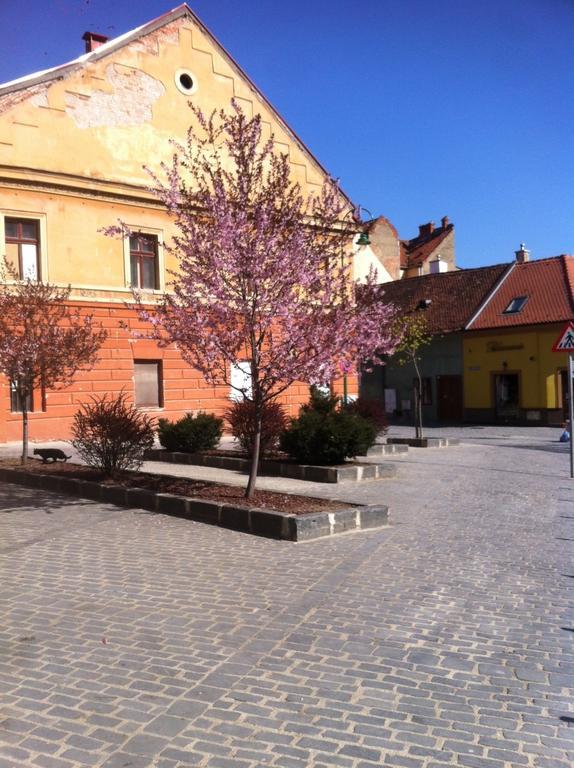 Old City Mary Apartment Brașov Exterior foto